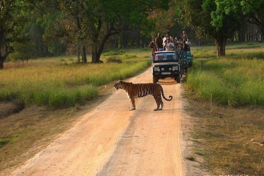 Kanha Tour package